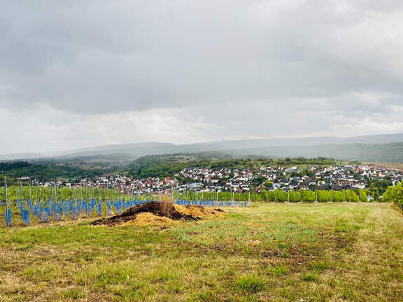 22-09-10 17-59-35 1977